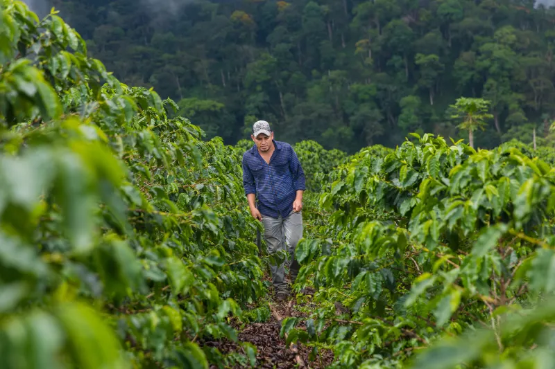 Ariel Murcia on Farm