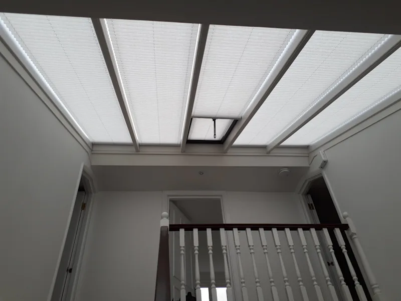 Electric Pleated Roof Blinds