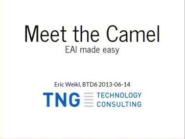 Video: Meet the Camel - EAI made easy