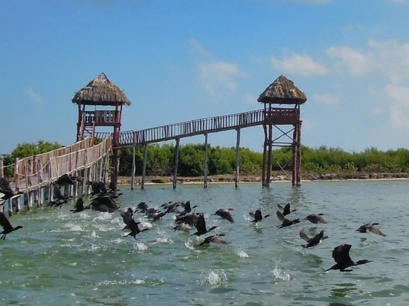 tres islas holbox