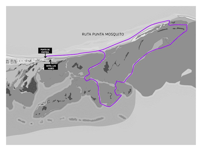 Tours de kayak Isla Holbox