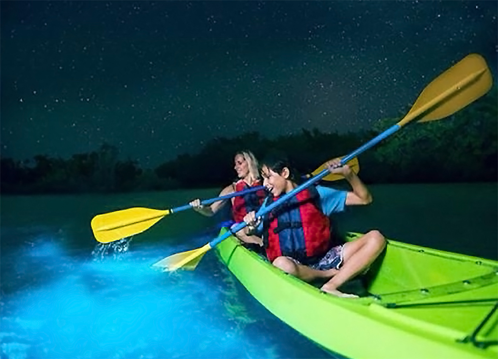 Holbox Bioluminescence Kayak Tour