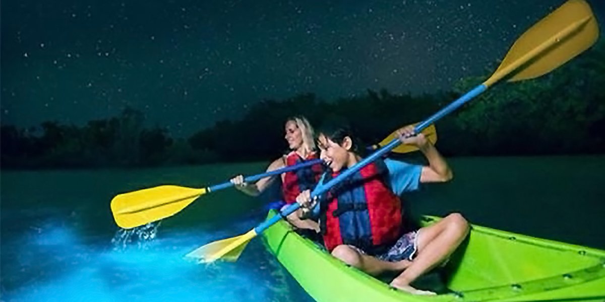 Tour de la bioluminiscencia en Kayak en Isla Holbox