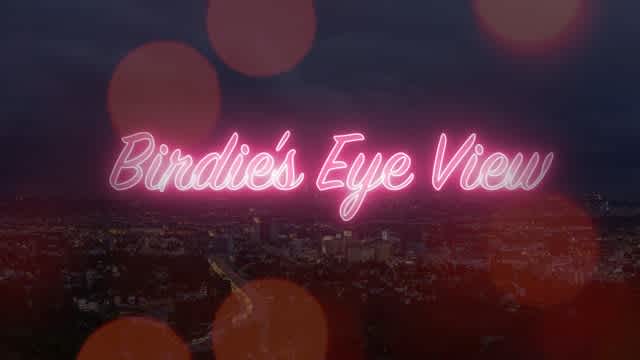 Birdie's Eye View