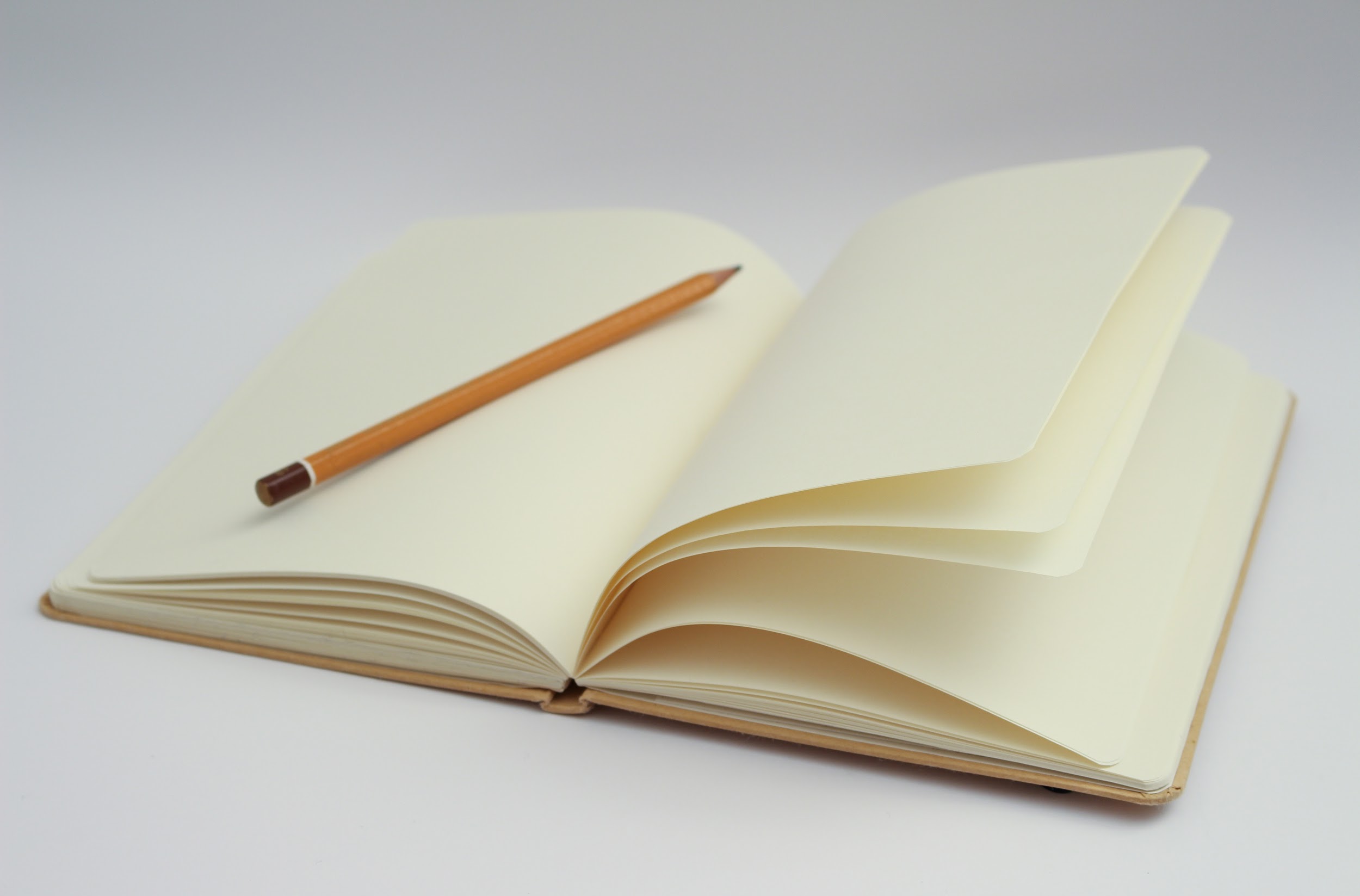 blank diary page with lines