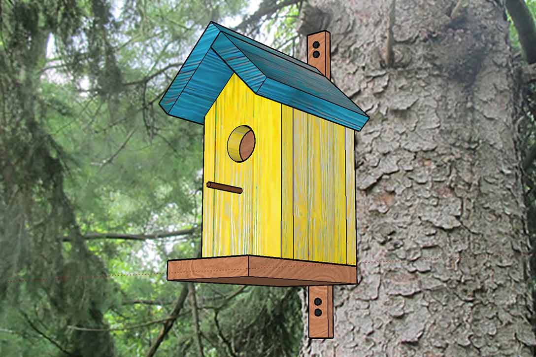 Build a birdhouse for shop class