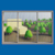 A stylized 3D SketchUp rendering of a landscape with green trees and buildings, viewed through a gray multi-pane window frame on a blue wall.