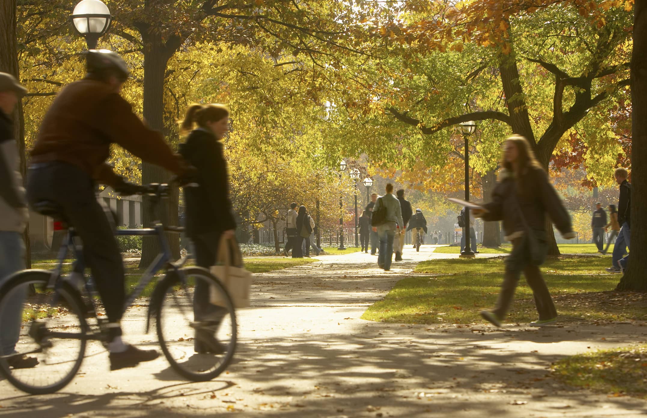 Students walking around autumnal college campus