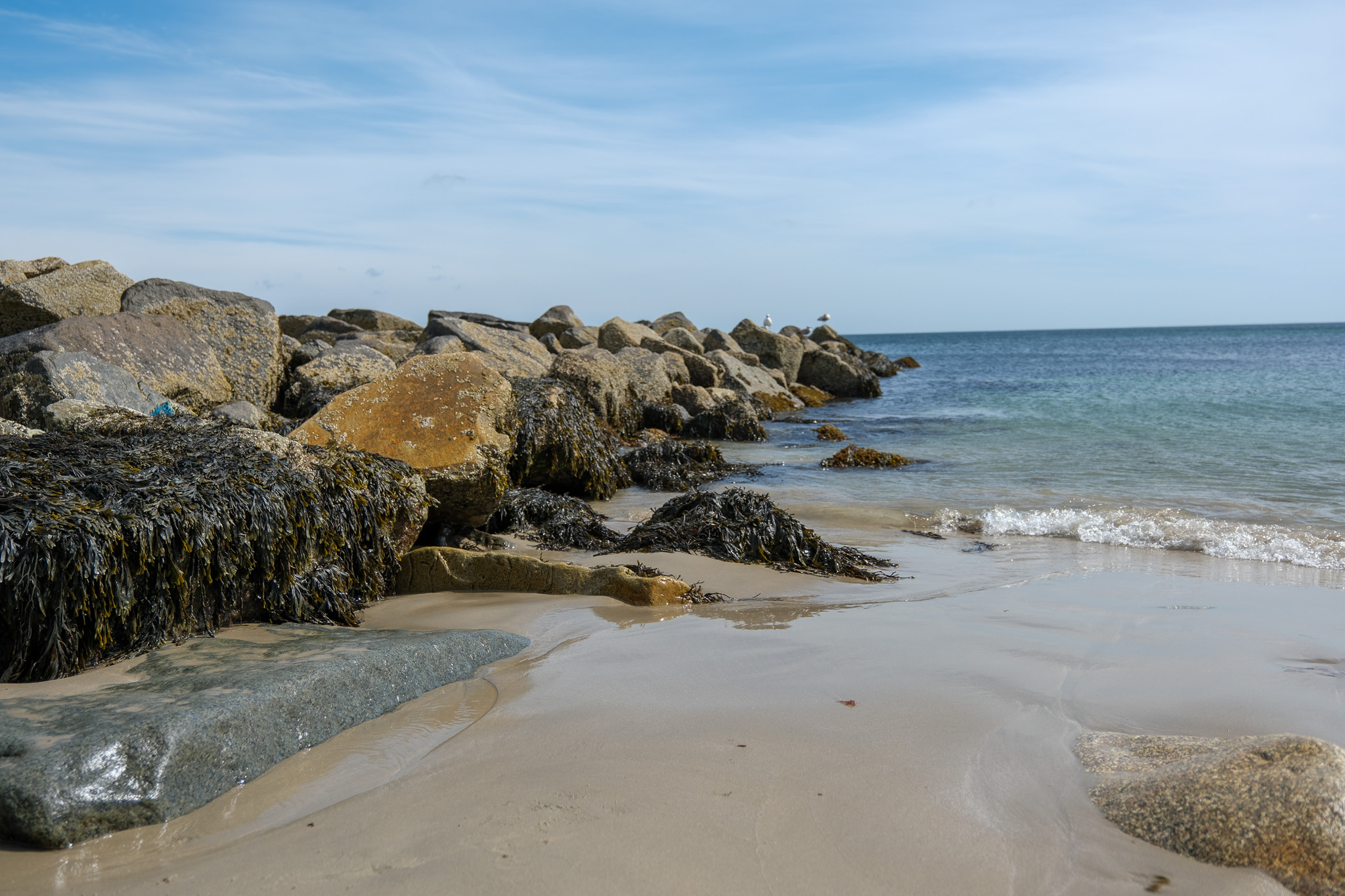 rocks on the beach