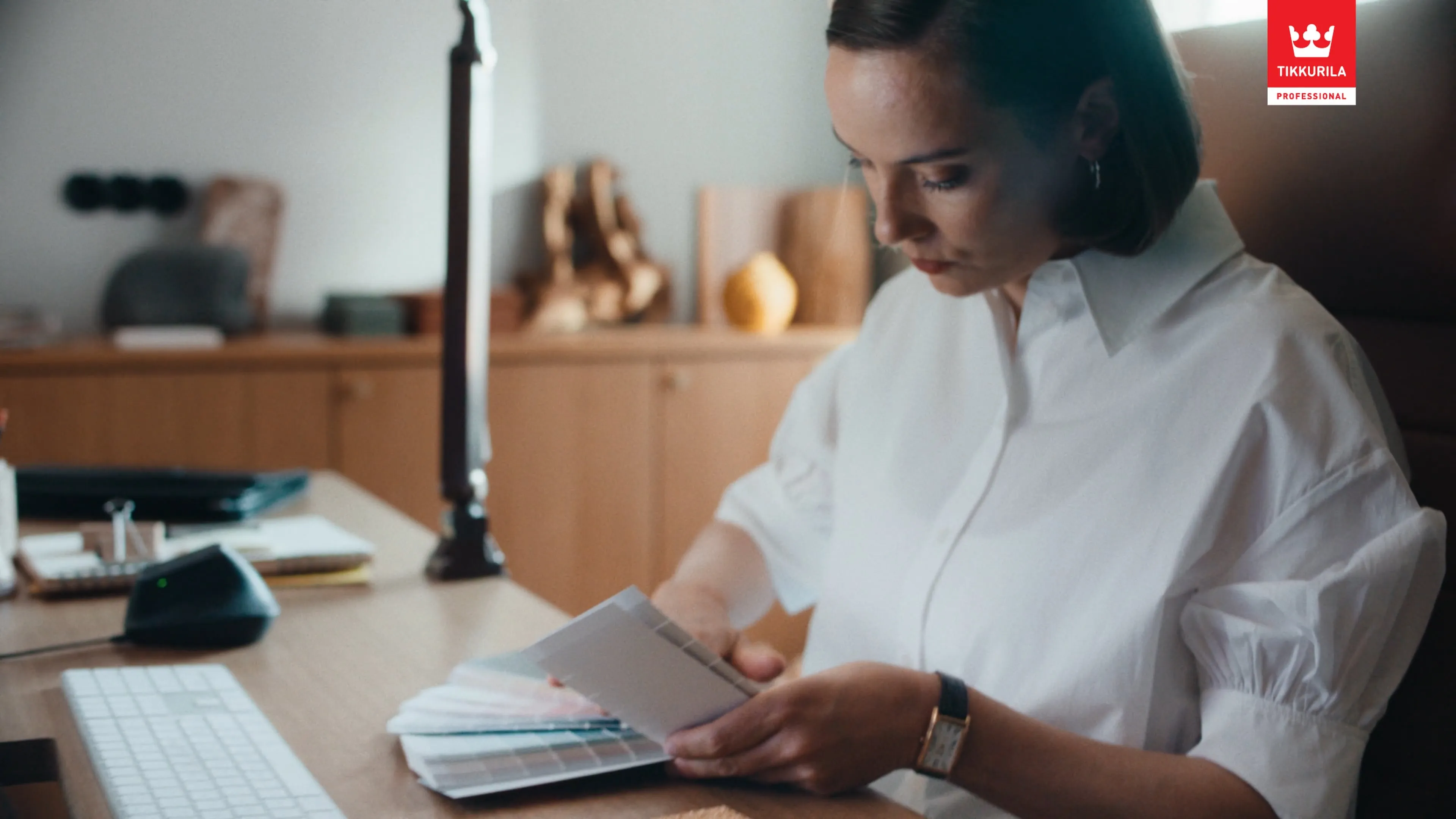 Tikkurila — From One Professional To Another
