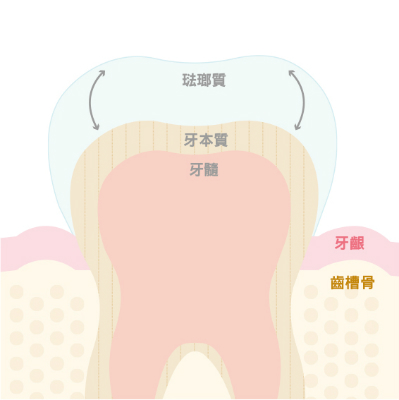 牙齒亮白冷知識 - Image 1 - Listerine - zh-Hant-TW