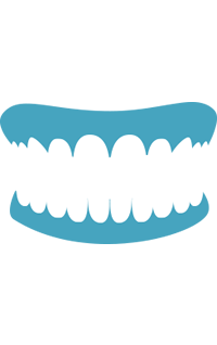 3-1-adult-teeth-left-tooth-truth-icon-03.png