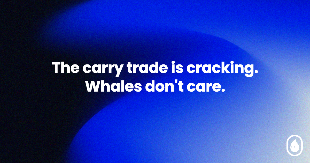 The carry trade is cracking. Whales don't care.