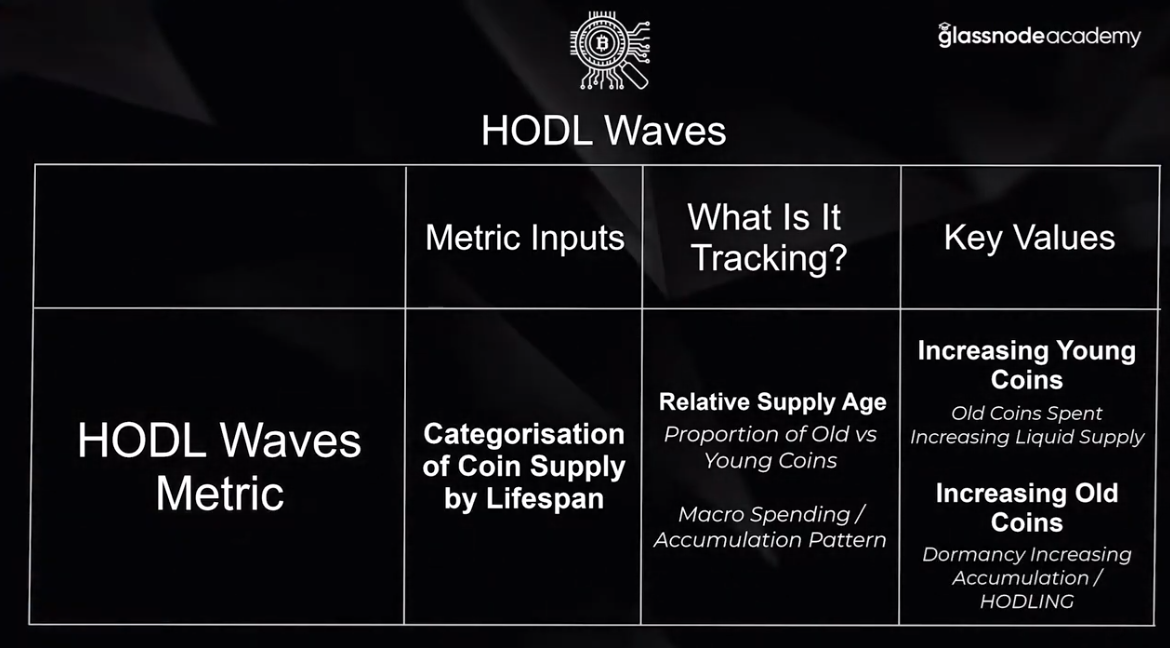 HODL WAVES example explanation