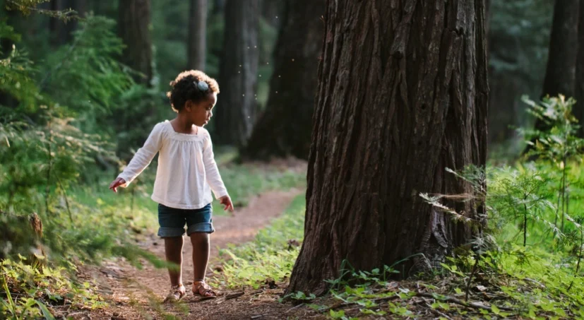 P&G + Arbor Day Foundation to enable and Inspire positive Impact on our environment and society