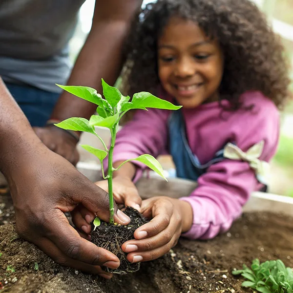 10 Easy Ways You Can Be Sustainable at Home