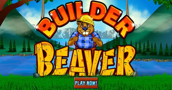 Beaver builder