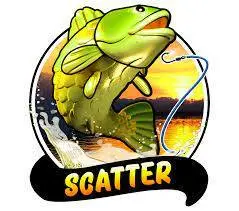 Scatter