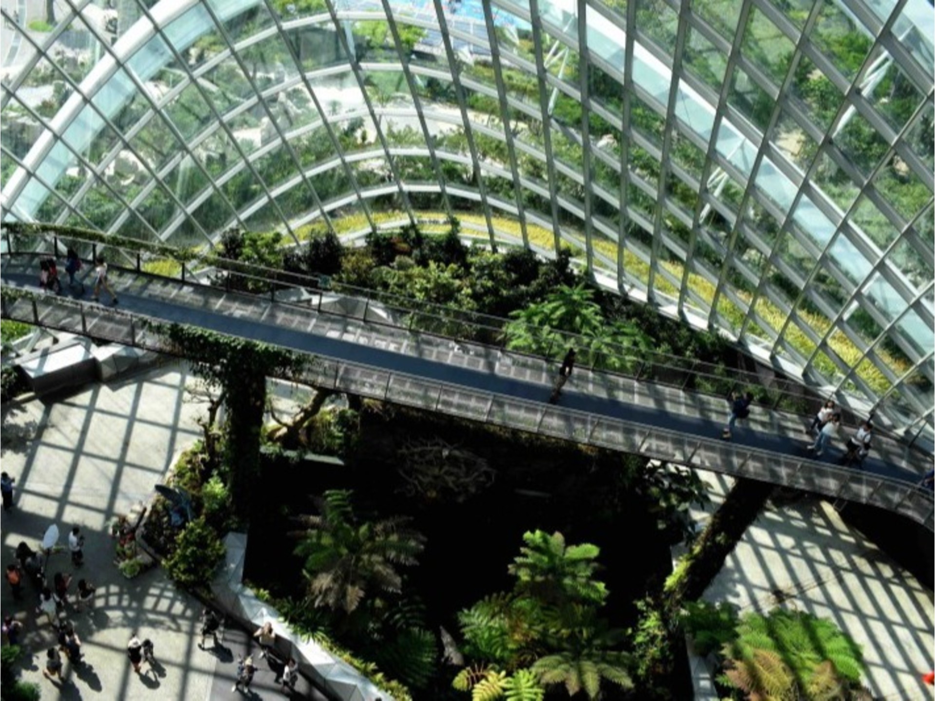 BeCause Customer Case | navigator