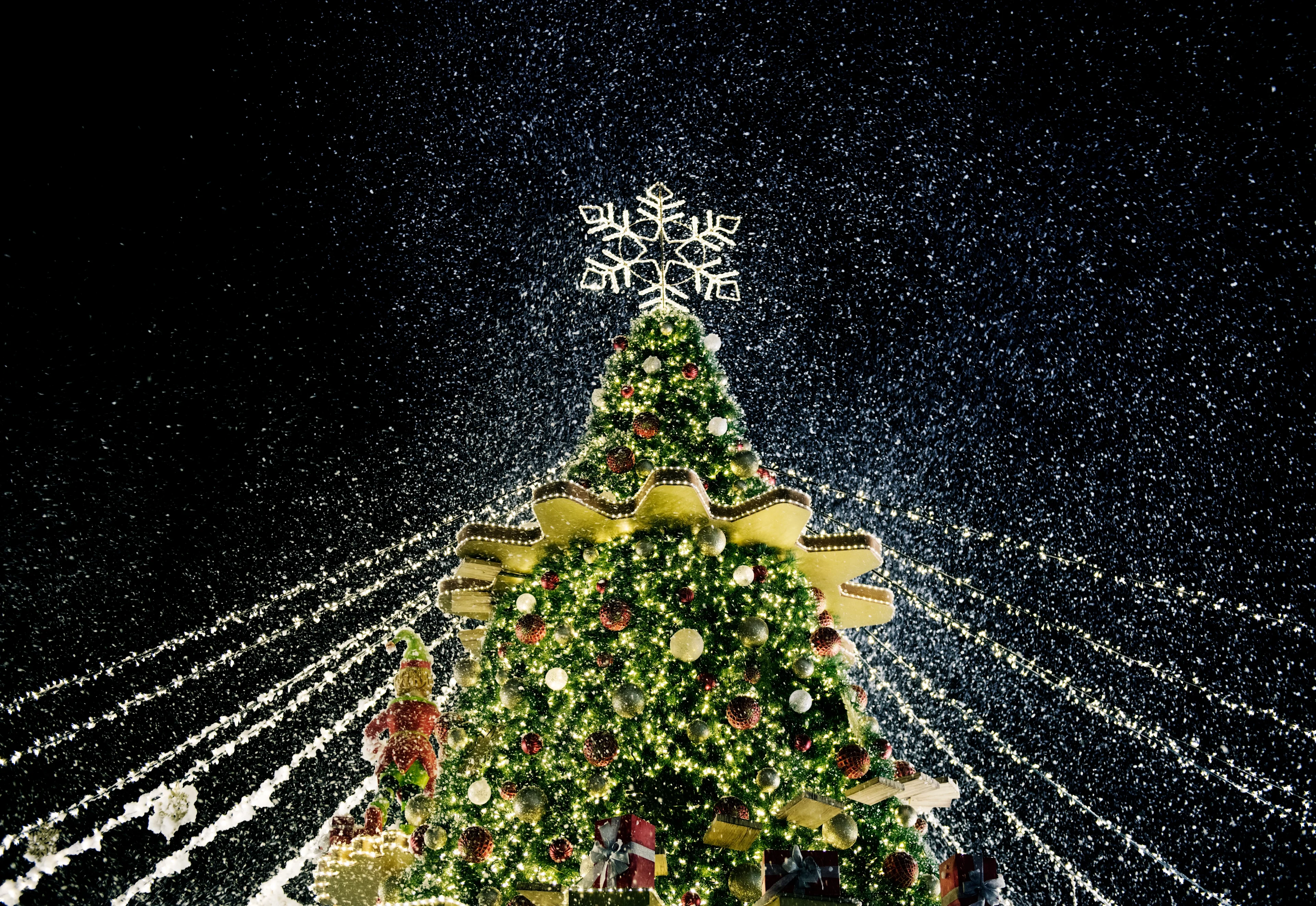 כריסמס בפורטוגל חגיגות השנה החדשה 🎄