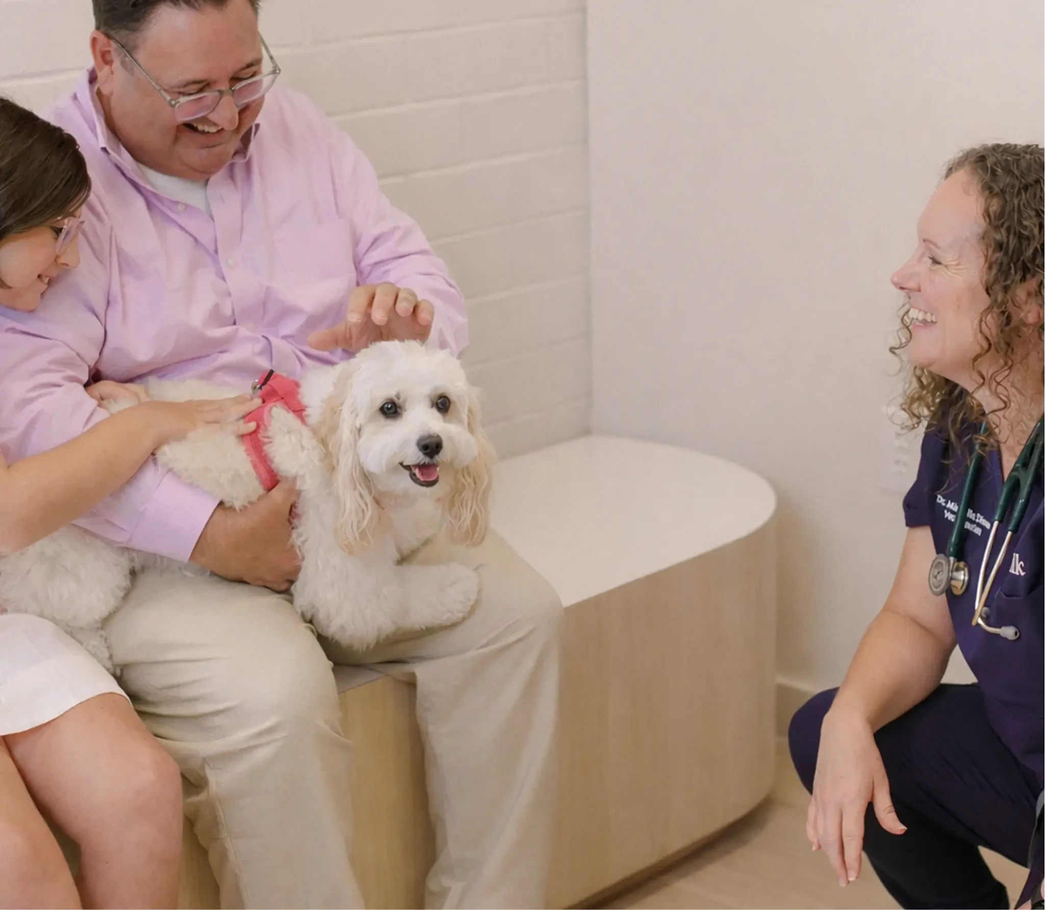 the all-in-one membership for total peace of mind