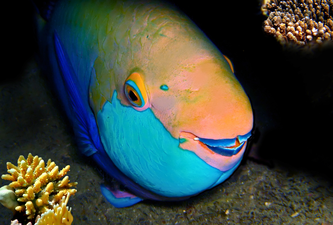 blog image
