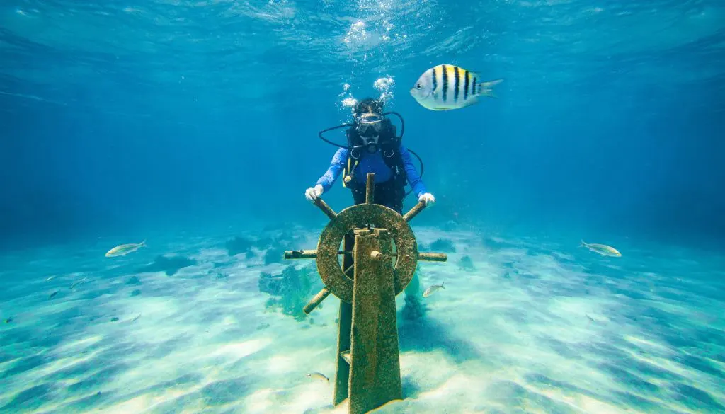 Bahamas Snorkeling Tours: Best Spots, Trips & Experiences