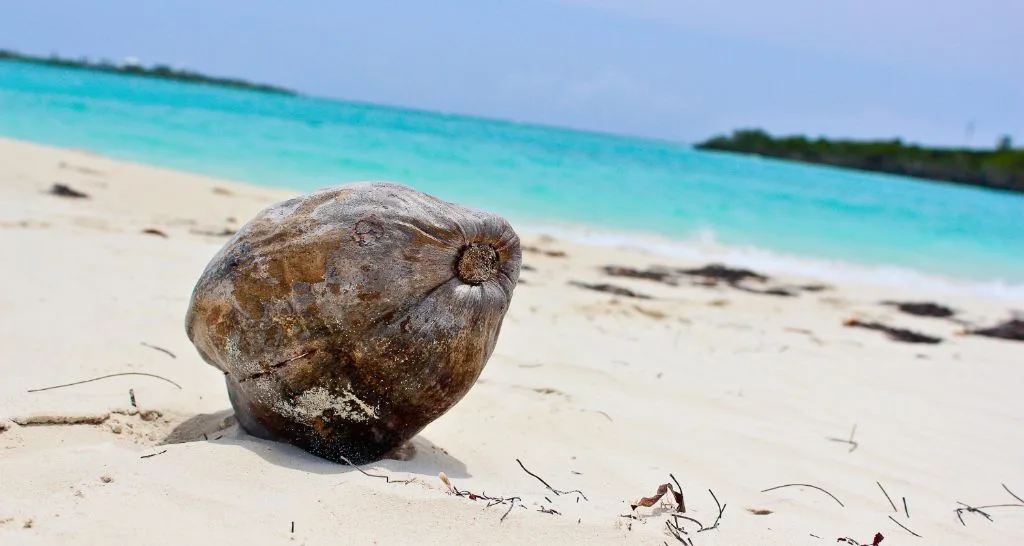 Best Beaches in Nassau Bahamas: A Complete Guide for Visitors and Cruisers