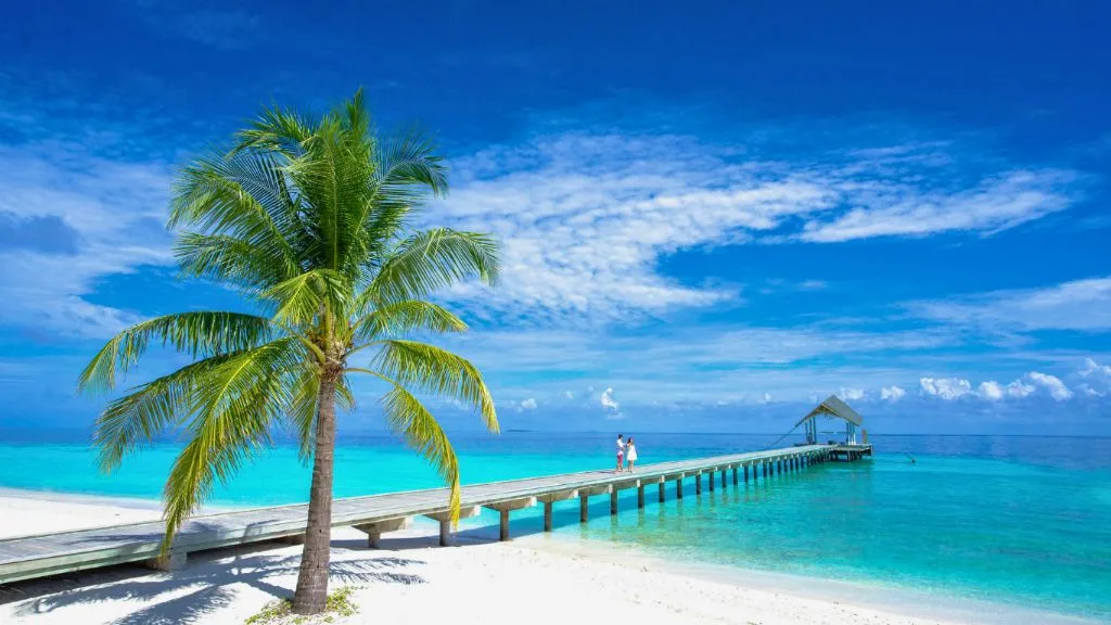 Best Time to Visit the Bahamas: Ideal Seasons & Travel Tips 