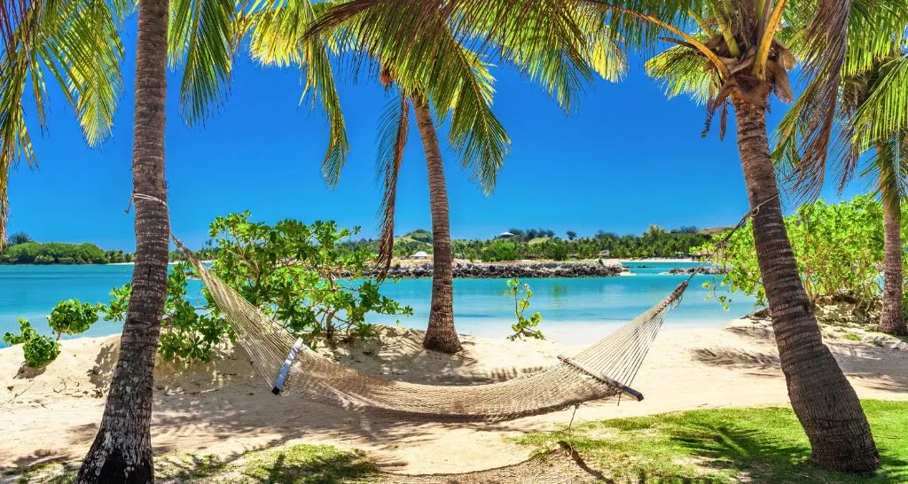 Hammock Between Palm Trees on a Bahamas Beach