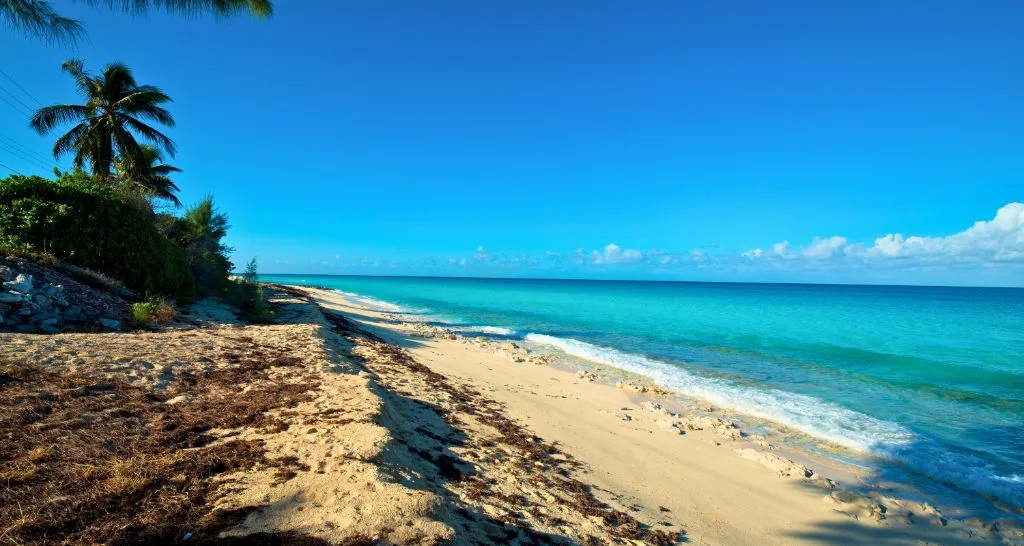 Best Beaches in Nassau Bahamas: A Complete Guide for Visitors and Cruisers
