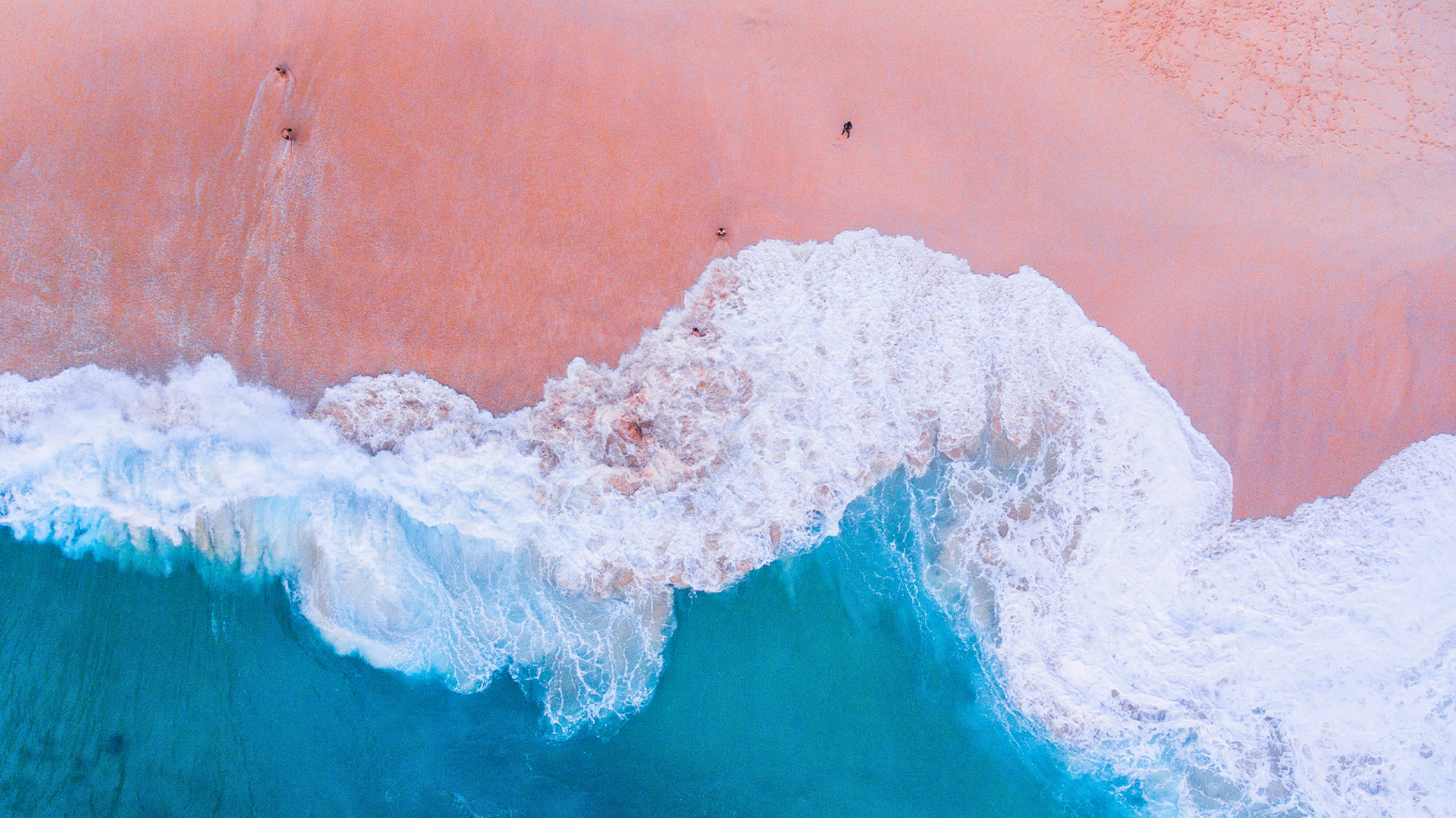 pink-sand-beach-swimming