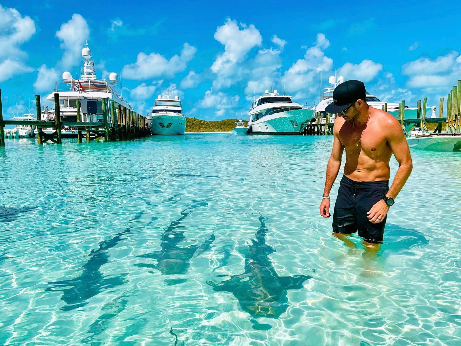 swim with nurse sharks 
