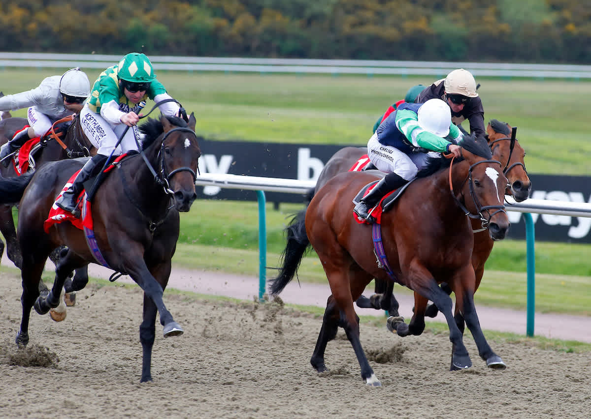 Horse racing tips for Good Friday Dave Nevison's best bets