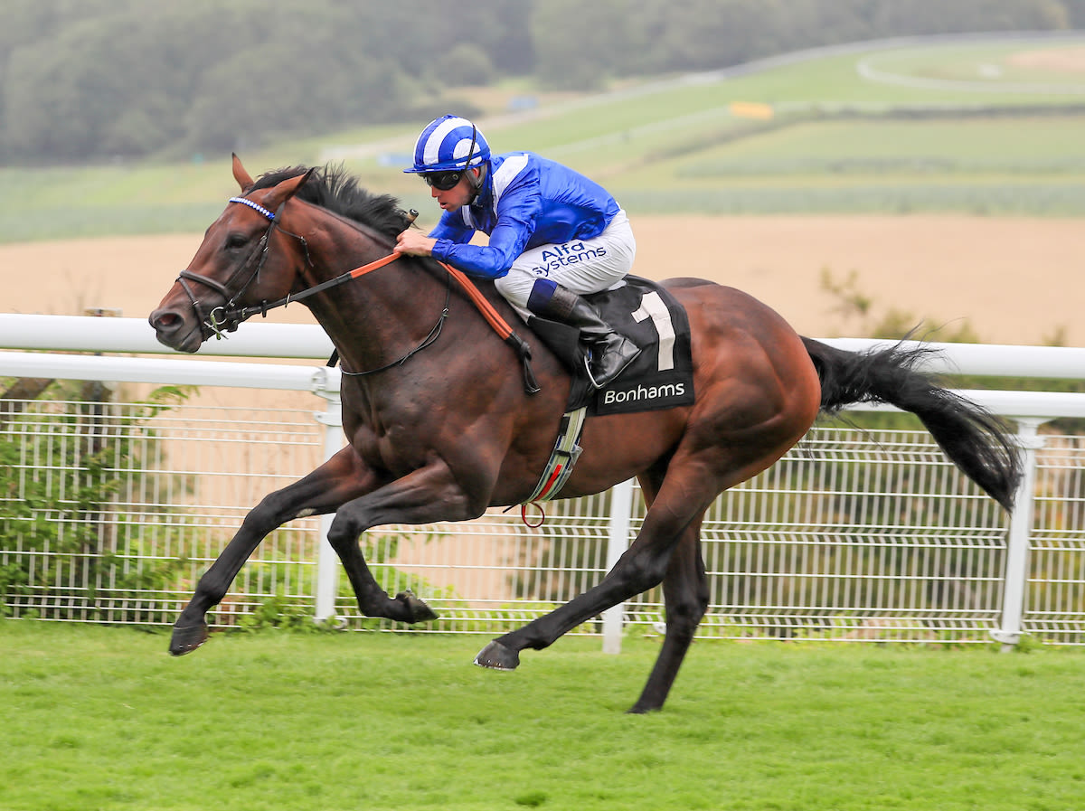 Baaeed - seven from seven and the star of the show in the opening contest at Royal Ascot on Tuesday (Pic: Focusonracing)