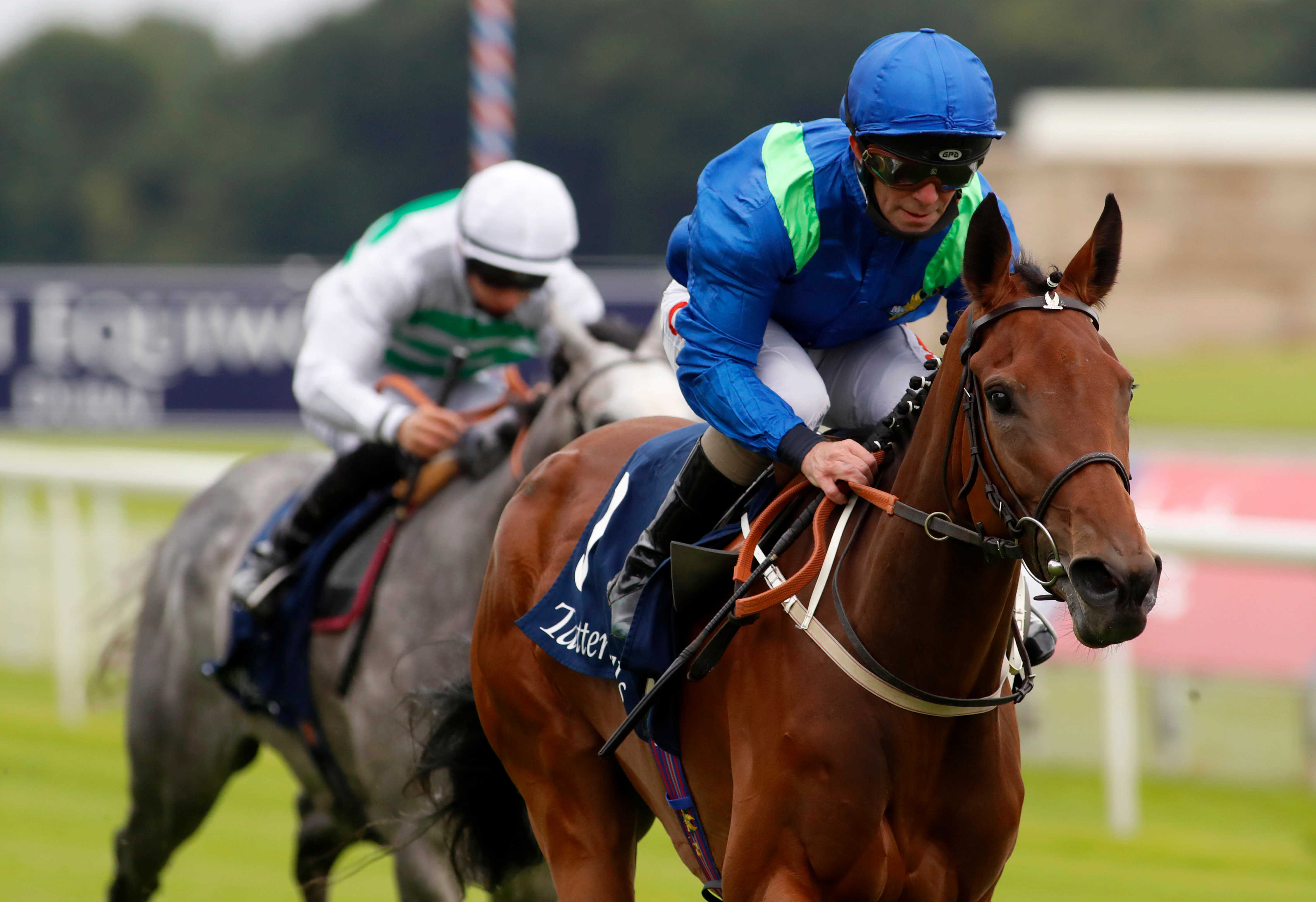 Newmarket preview: Fallon believes Rose Of Kildare can bloom - Vimarsana News