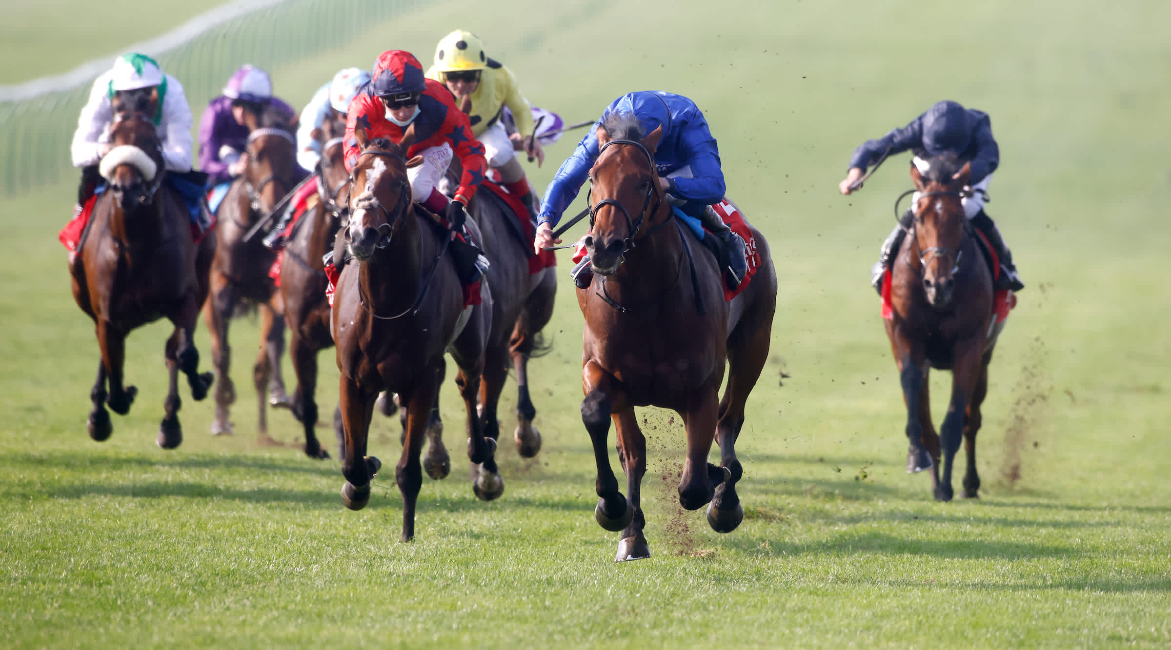 Qatar Sussex Stakes: Coroebus to miss Baaeed clash - Vimarsana News