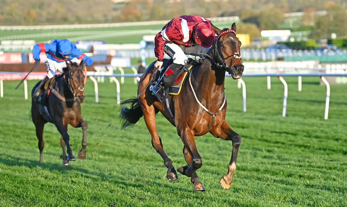 Five key horses to follow at Cheltenham on Saturday