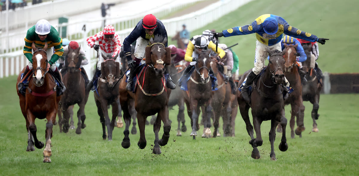   Harry Skelton (blue and yellow) celebrates in his trademark style after winning the Coral Cup on Langer Dan (focusonracing.com)