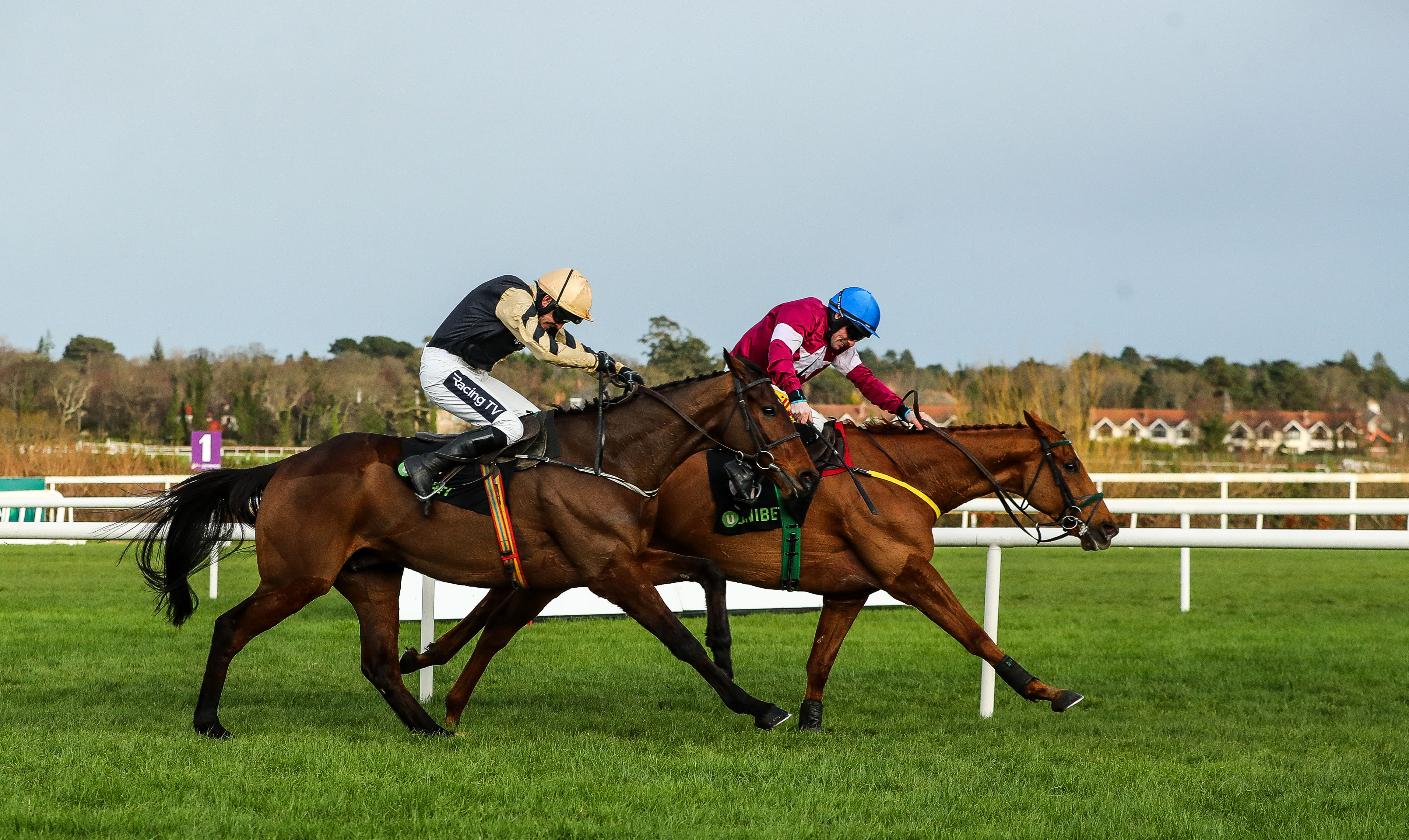 Dublin Racing Festival Your essential guide to the racing action at