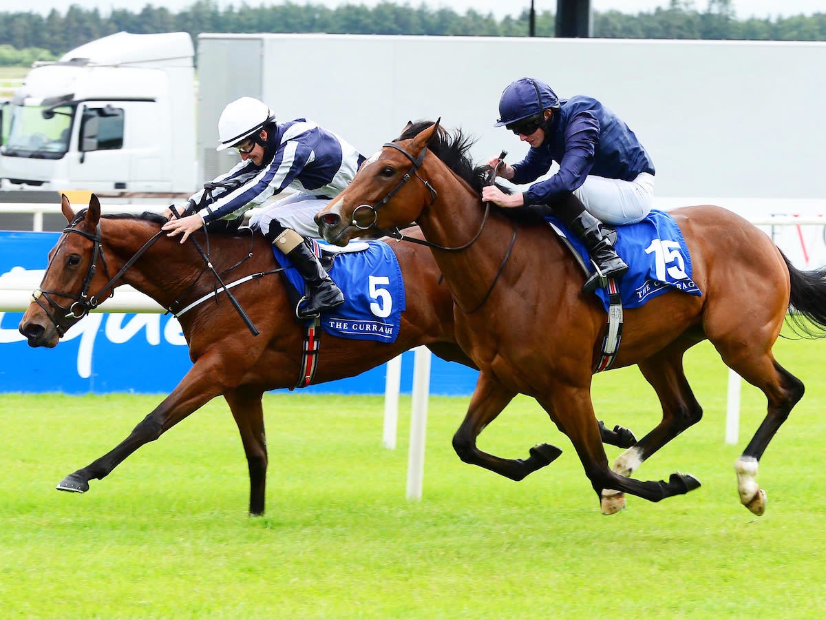     Découvertes beats Tuesday in first company at the Curragh last June.  The two now line up in Sunday's Classic (Picture: Focusonracing)