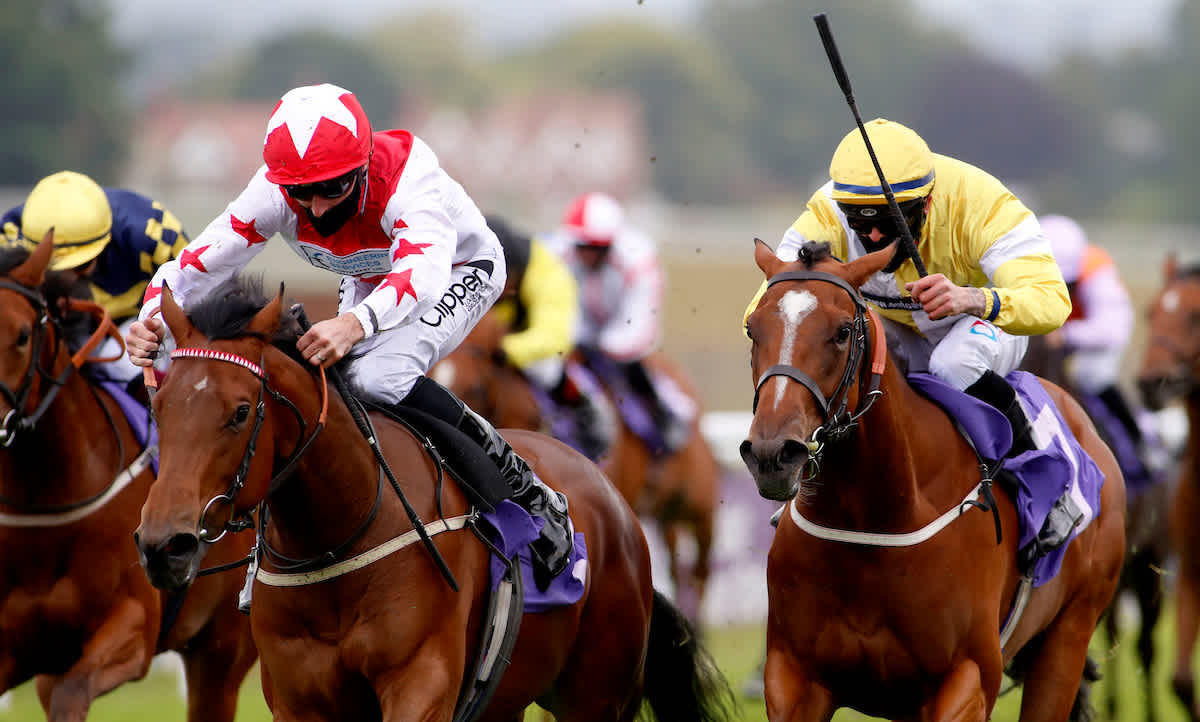 Horse racing tips for Thursday Dave Nevison's best bets