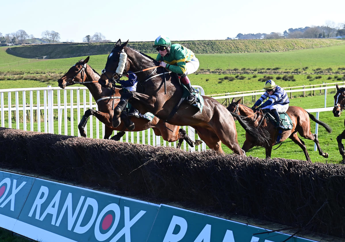 Ladies bring the style to Downpatrick races