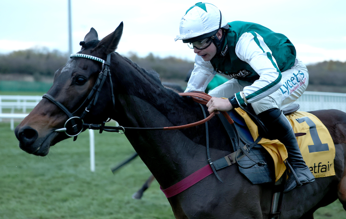 Road To Cheltenham: Watch Out For The Real Whacker