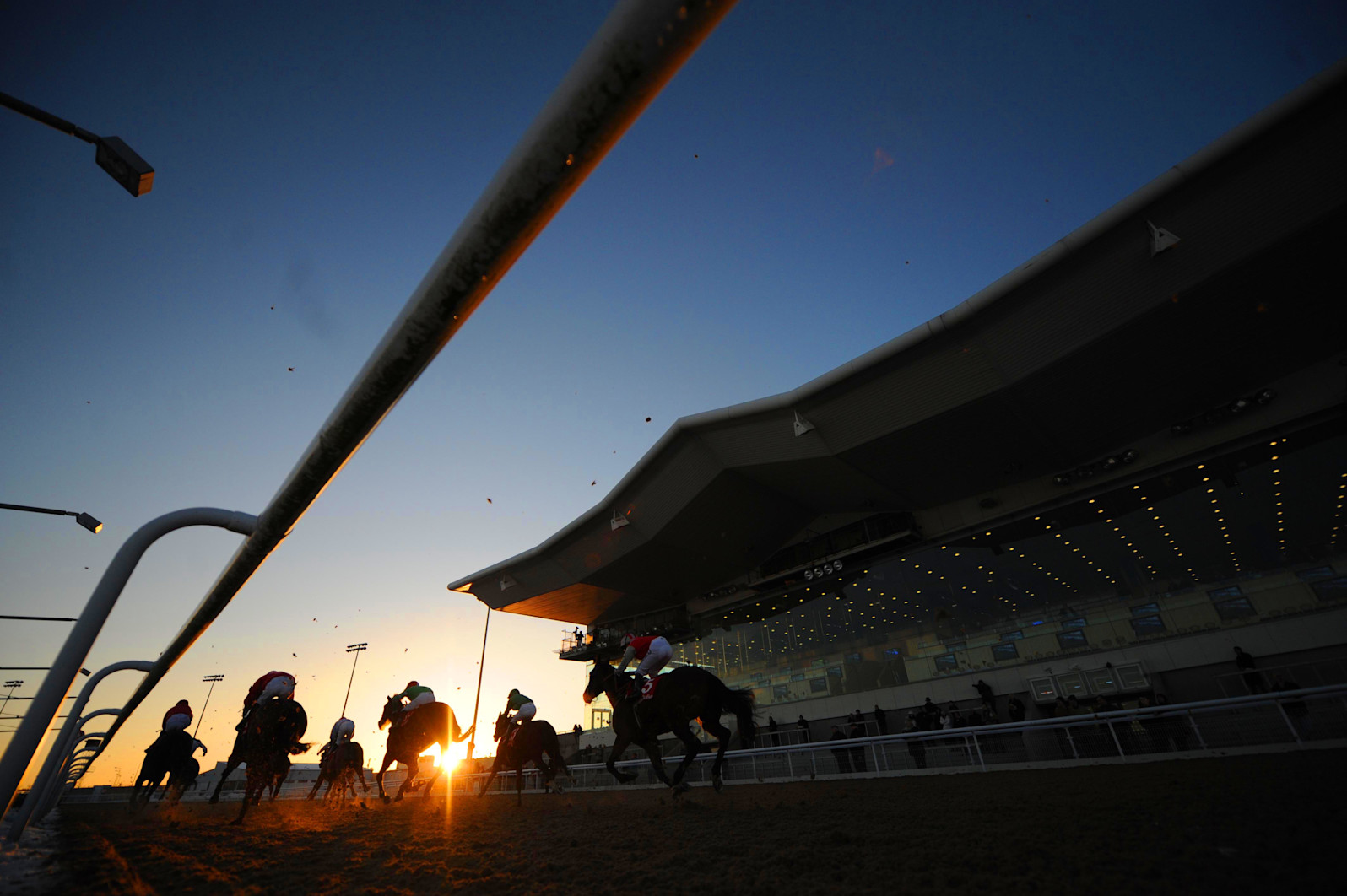 Dundalk Racecourse Today's Results & Betting