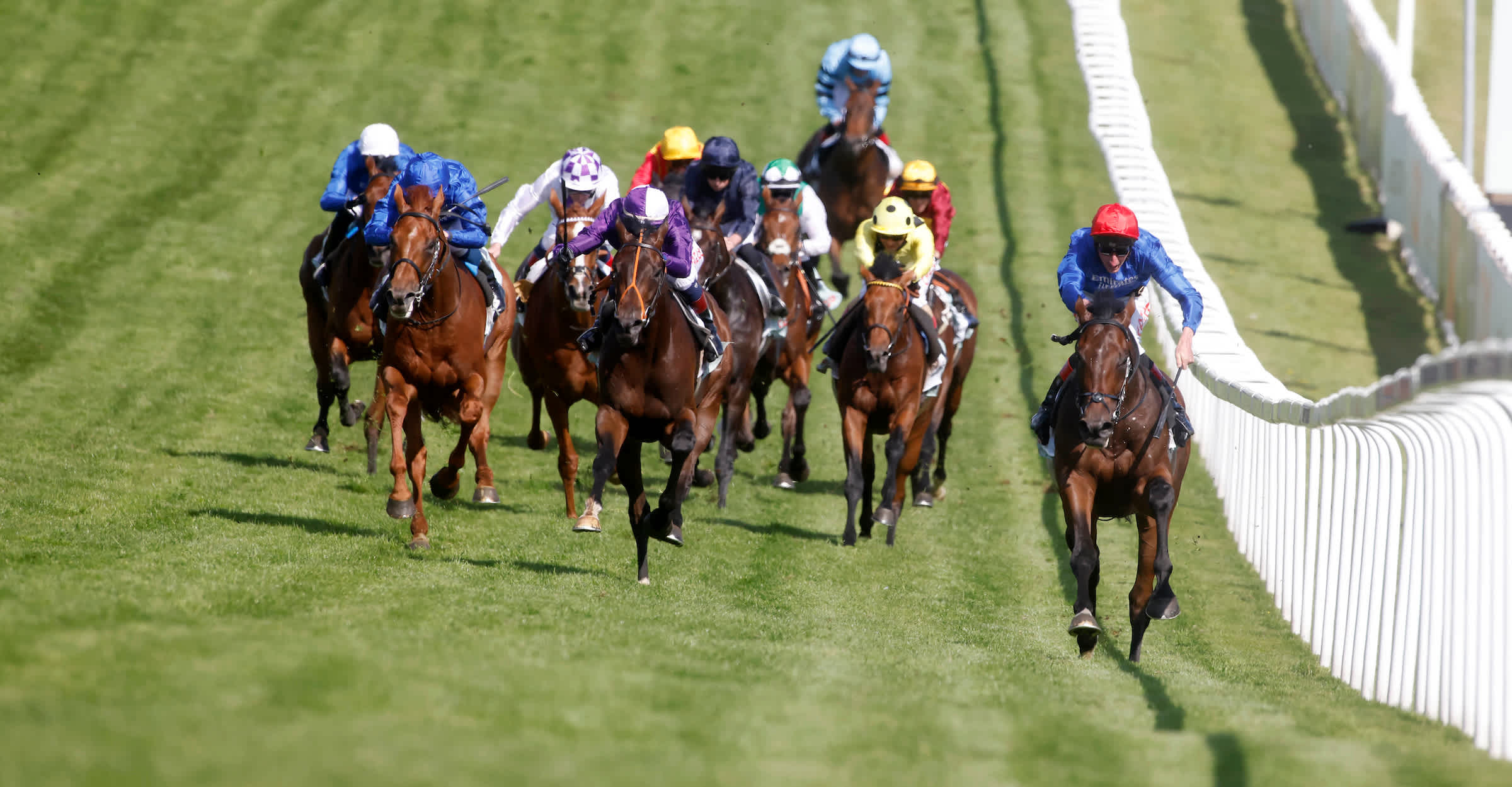 The Cazoo Derby: Your guide to the final field plus tips