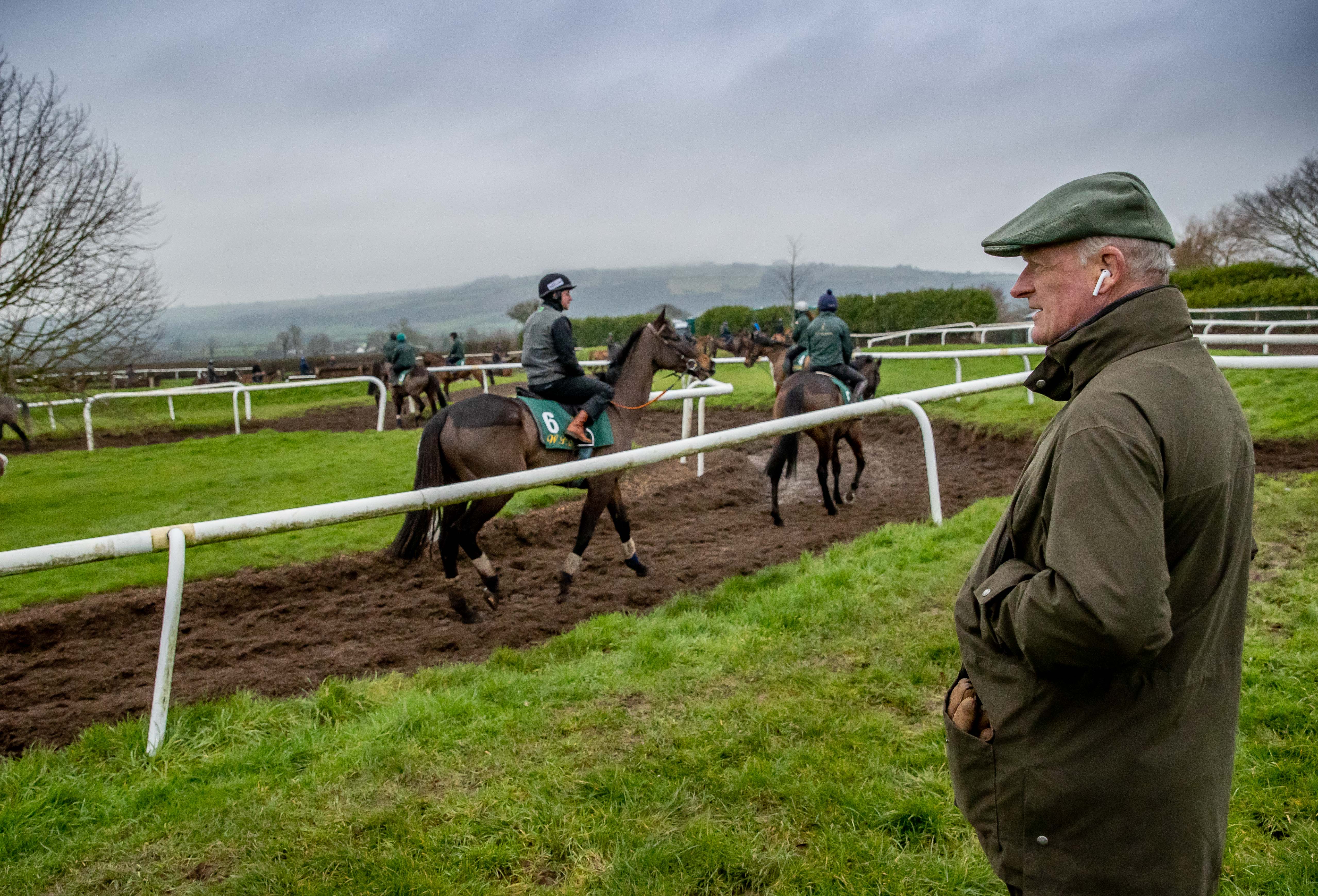  Mullins has a superb team heading to Cheltenham (Pic: Inpho Photography/ HRI)