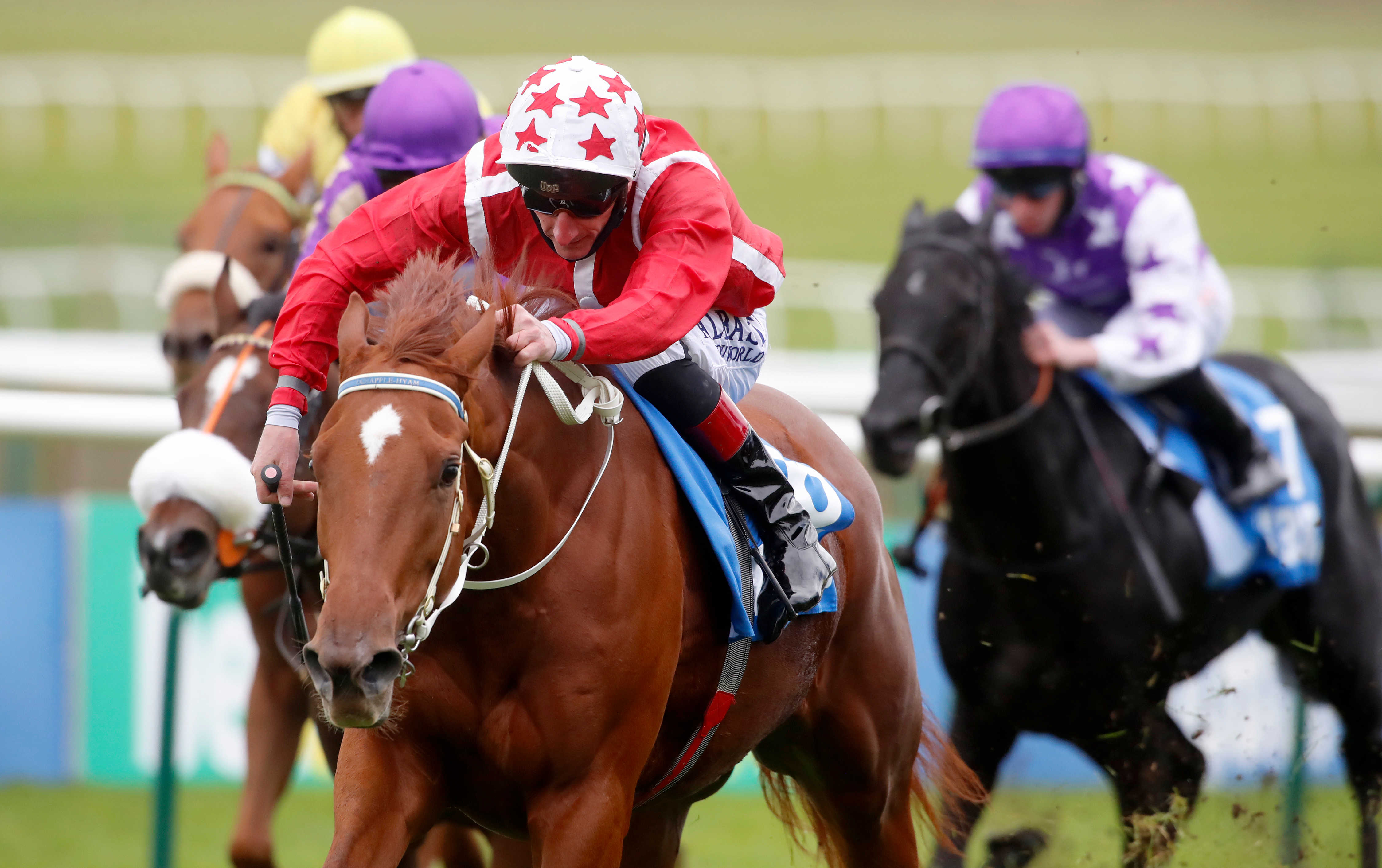 Chapple-Hyam overjoyed as Guineas runner-up Saffron Beach shows her quality - Vimarsana News