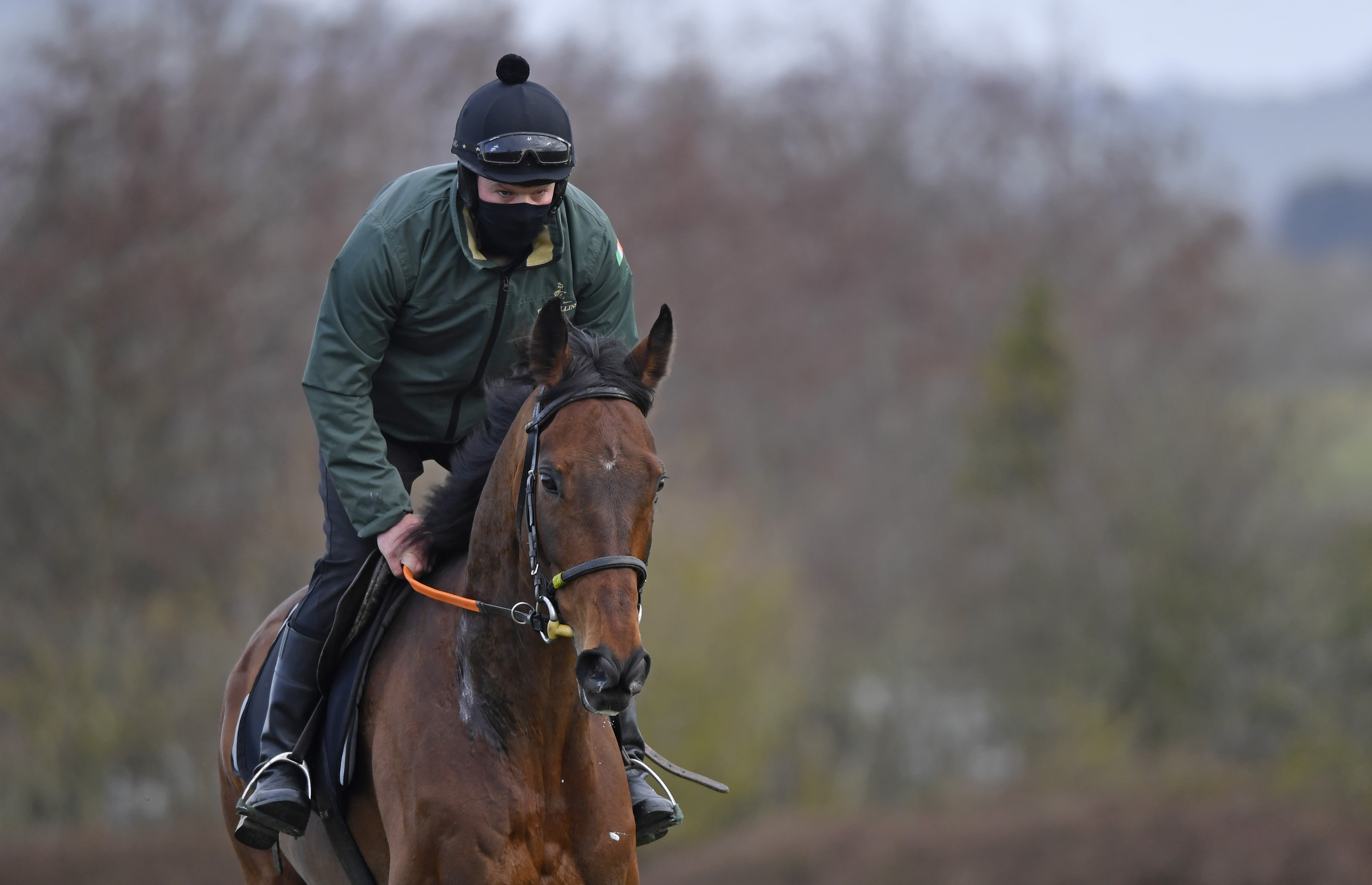 Matt Chapman's Verdict On Faugheen This Season