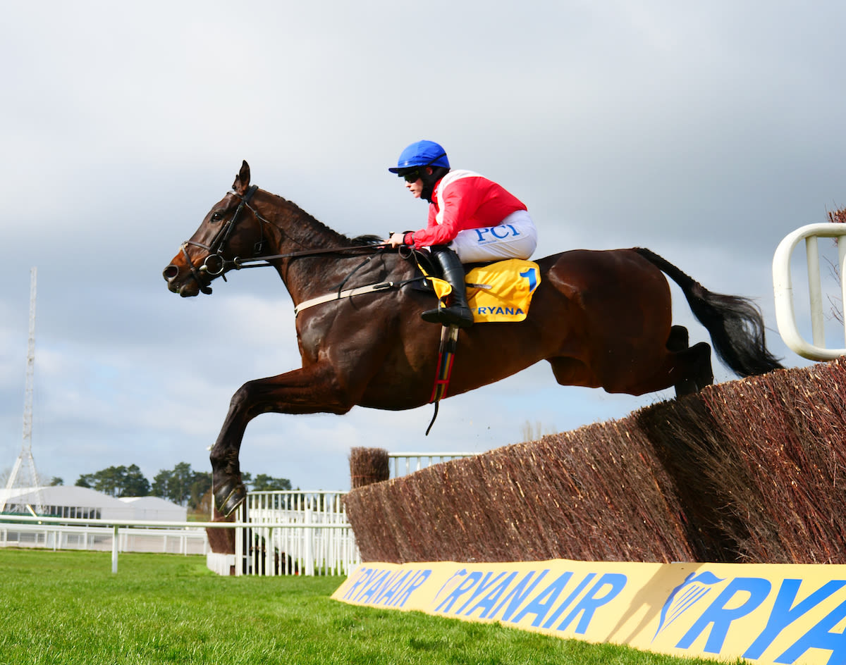  Allaho will defend his Ryanair Chase crown (Pic: Focusonracing)